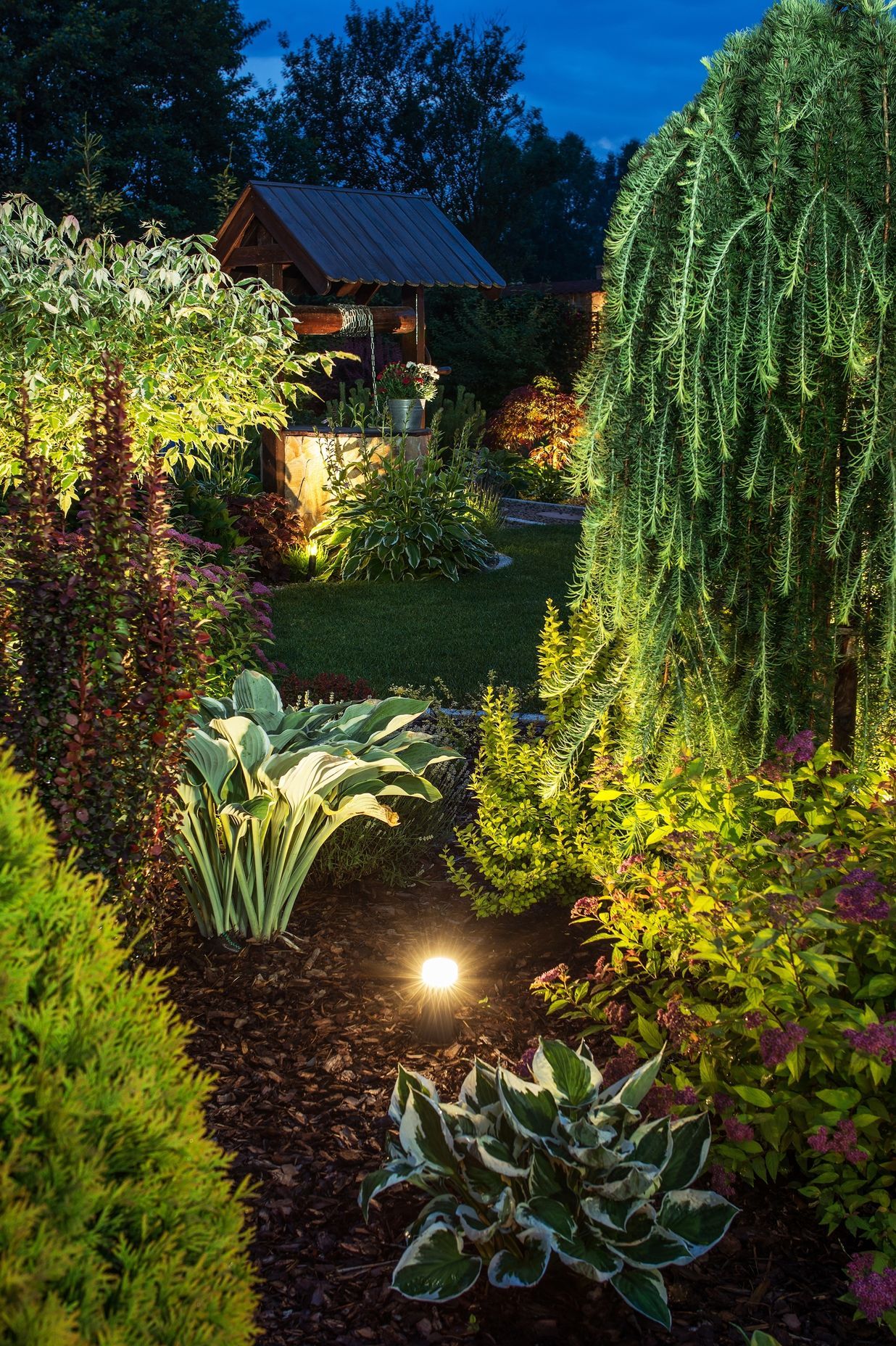 Having accent lighting installed in gardens means they look beautiful at night.