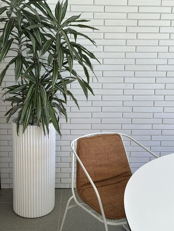 IMG1225-1.jpg