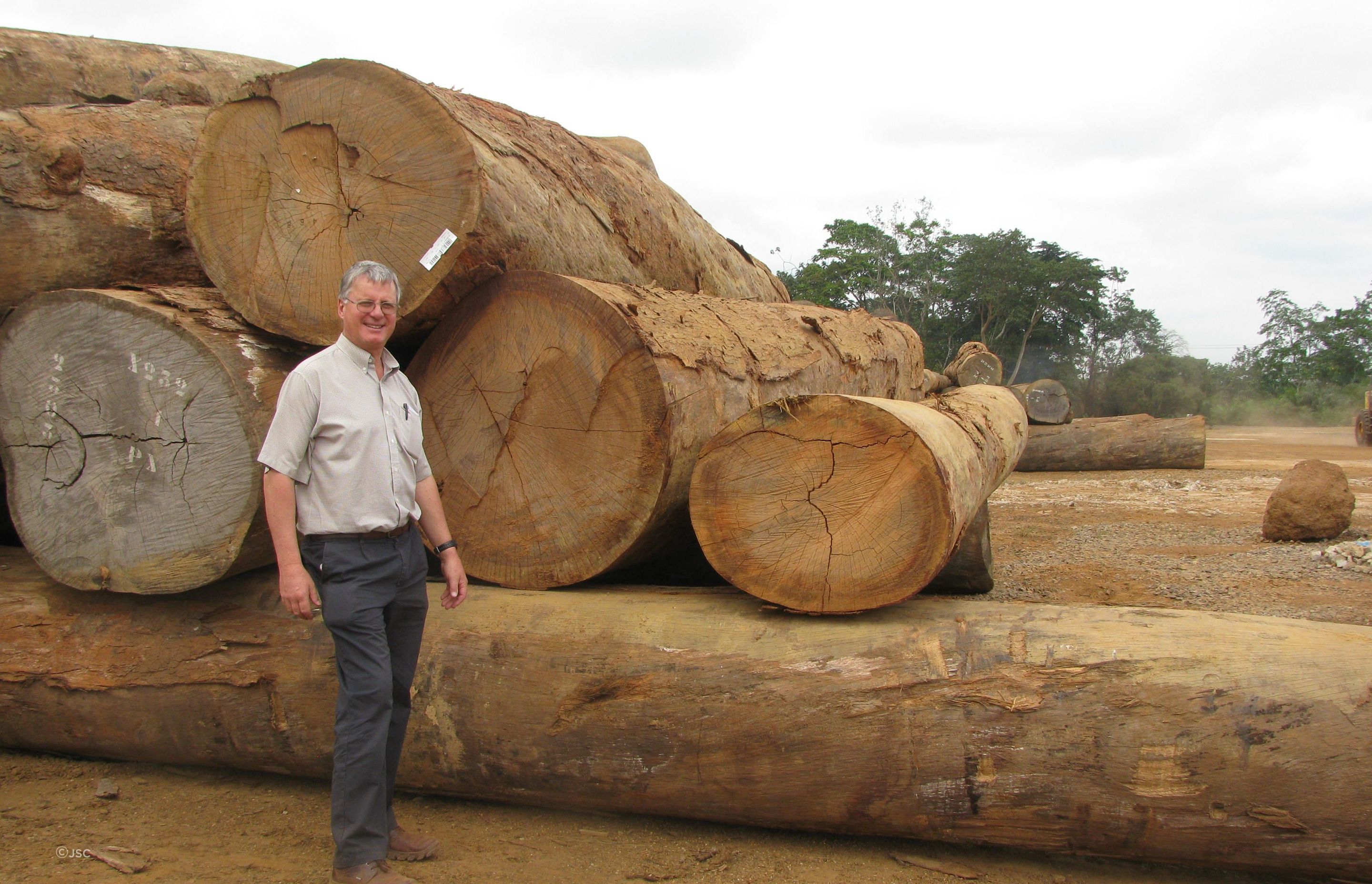 Malcolm Scott, advocate for sustainable forestry at JSC, visits one of the sustainably managed forests in South America. Thanks to New Zealand businesses like JSC, who buy tropical timber only from third-party certified sources, Scott says New Zealand importers are leading the way towards a sustainable forestry resurgence.