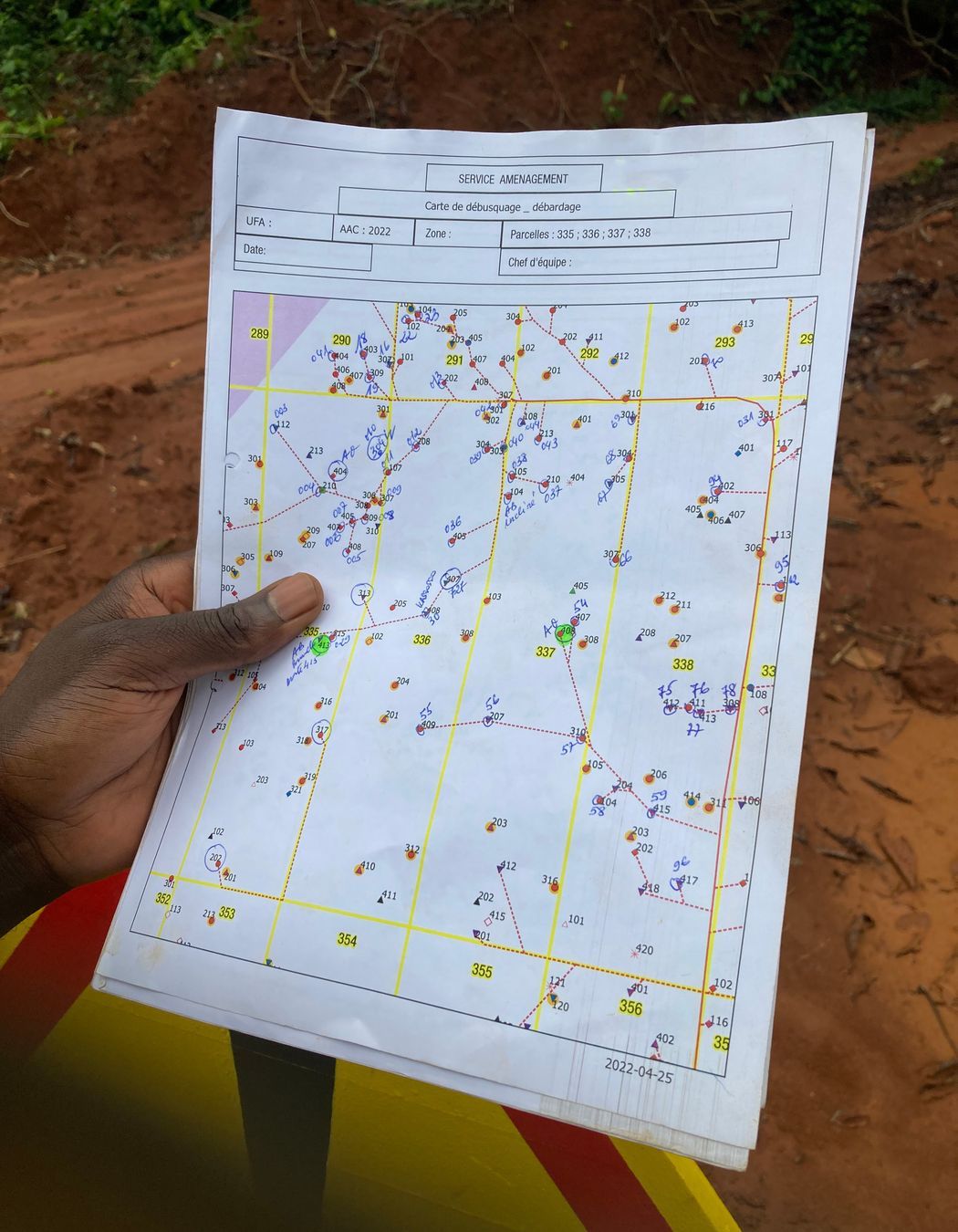 This map displays the layout of the blocks and the specific areas being managed. The numbered sections, such as "338" in the highlighted yellow box, correspond to particular areas of the forest designated for harvest. The tree with the number “216” on the map also indicates its exact location within the block. This systematic numbering ensures a traceable and verifiable process.