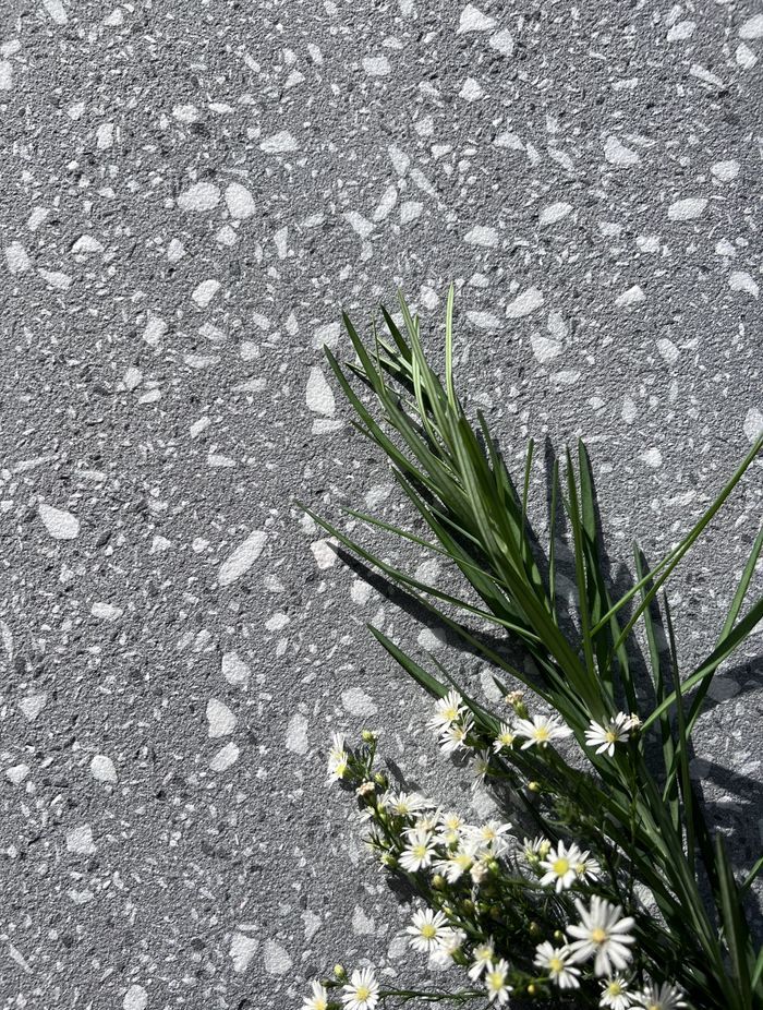 Di Lusso terrazzo | Image courtesy of Prolific Stone International
