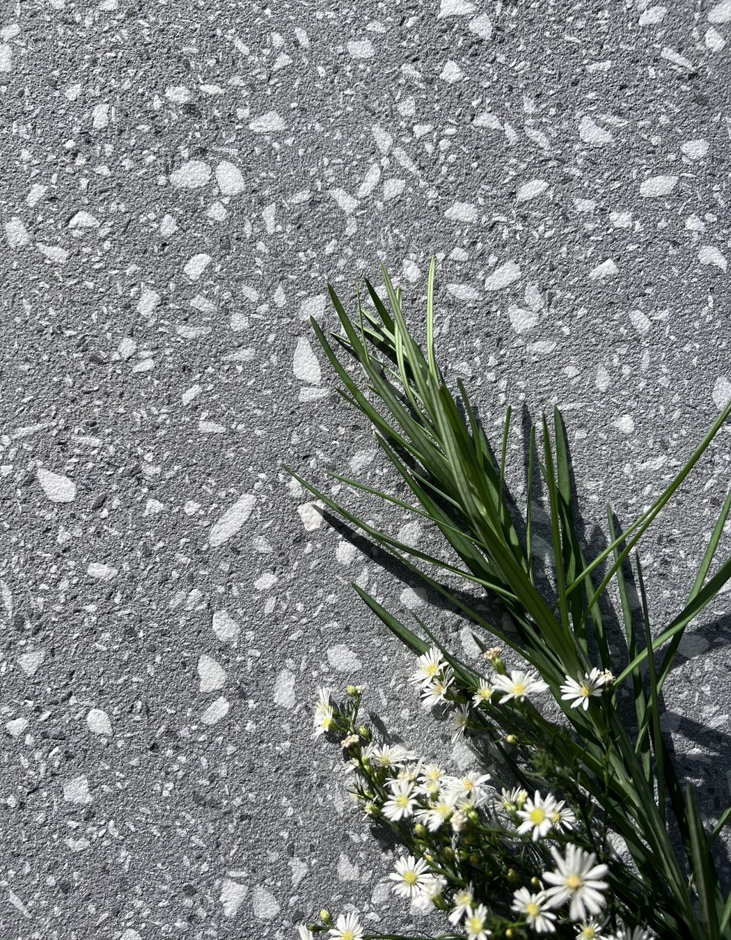 Di Lusso terrazzo | Image courtesy of Prolific Stone International