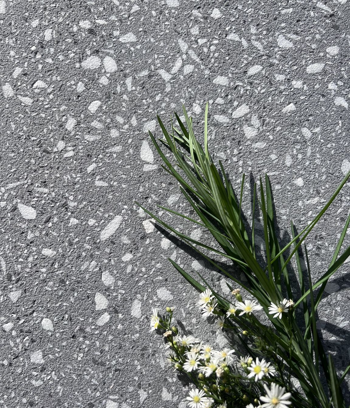 Di Lusso terrazzo | Image courtesy of Prolific Stone International