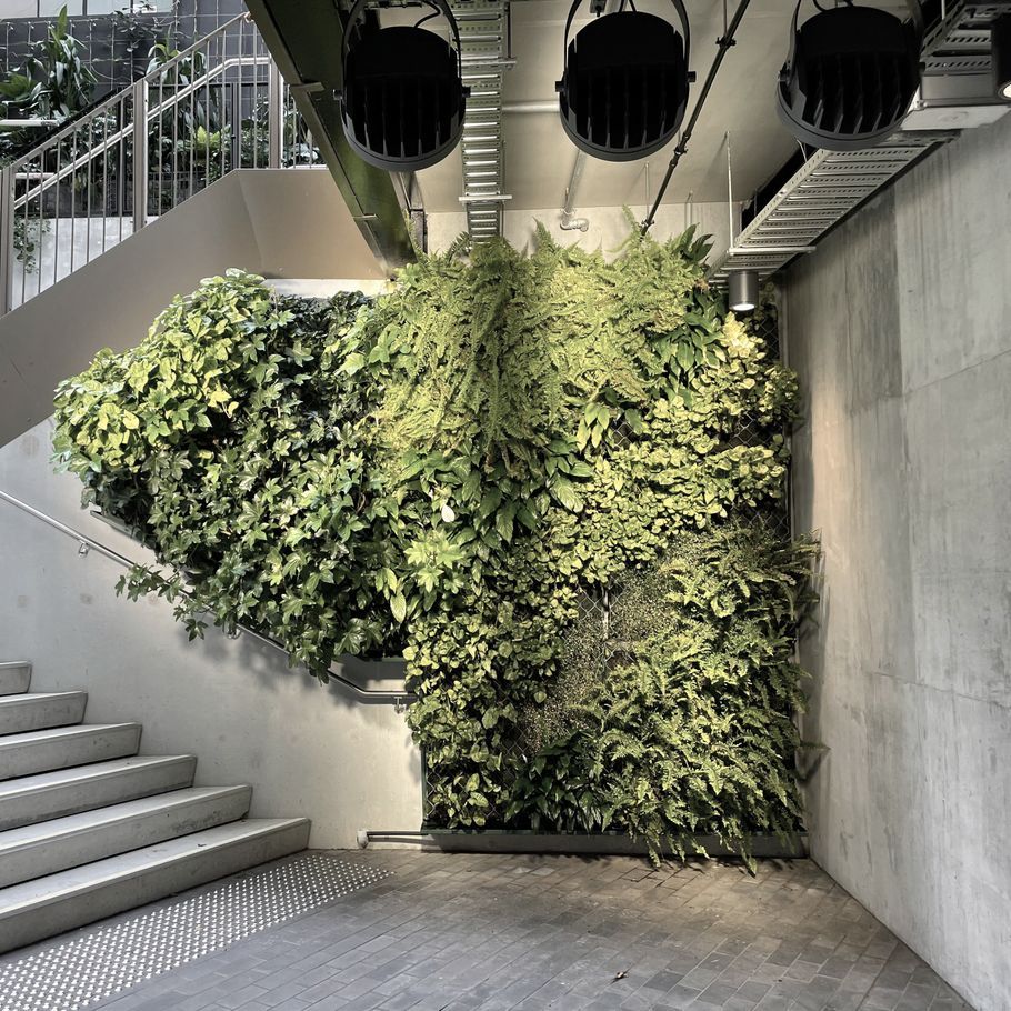 The green tech changing our urban landscape: how to use it in your project