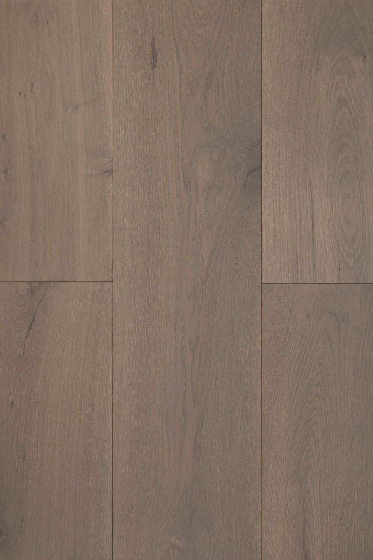 The Forté Indus Patagonia Plank.