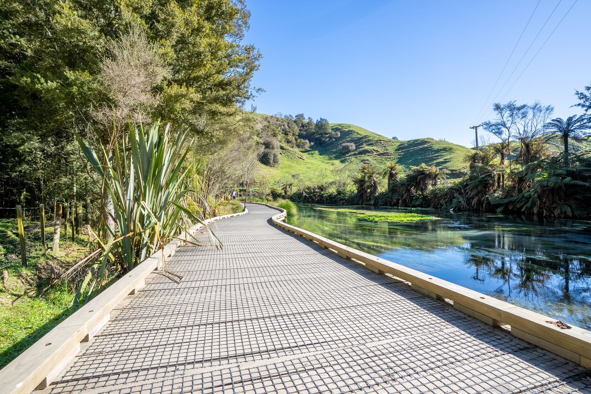 The rebuilt Te Waihou Walkway allows visitors to safely enjoy the stunning natural beauty of the famous ‘Blue Spring’.