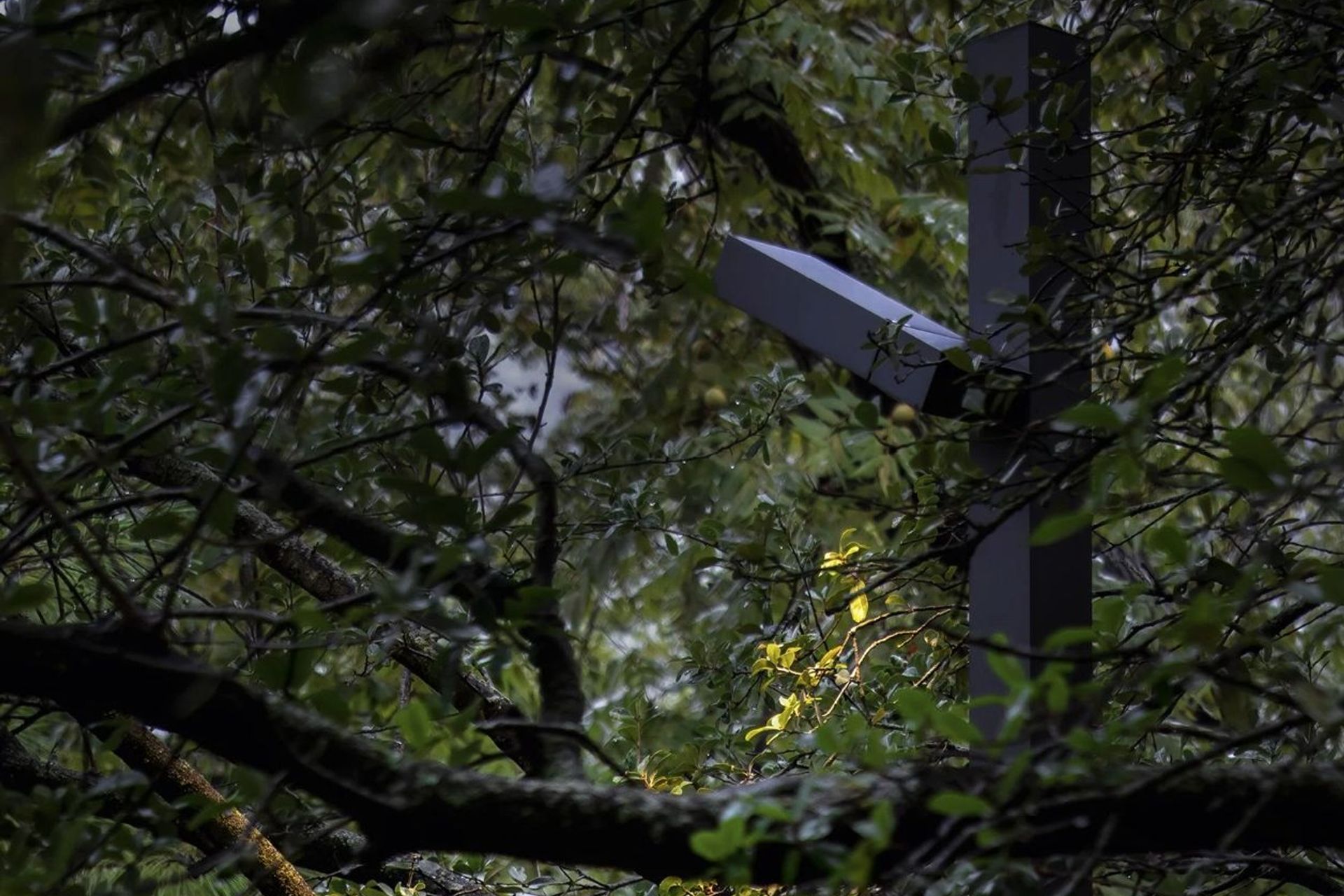 The Polesano Outdoor Light has four optics offering precise illumination for outdoor spaces.