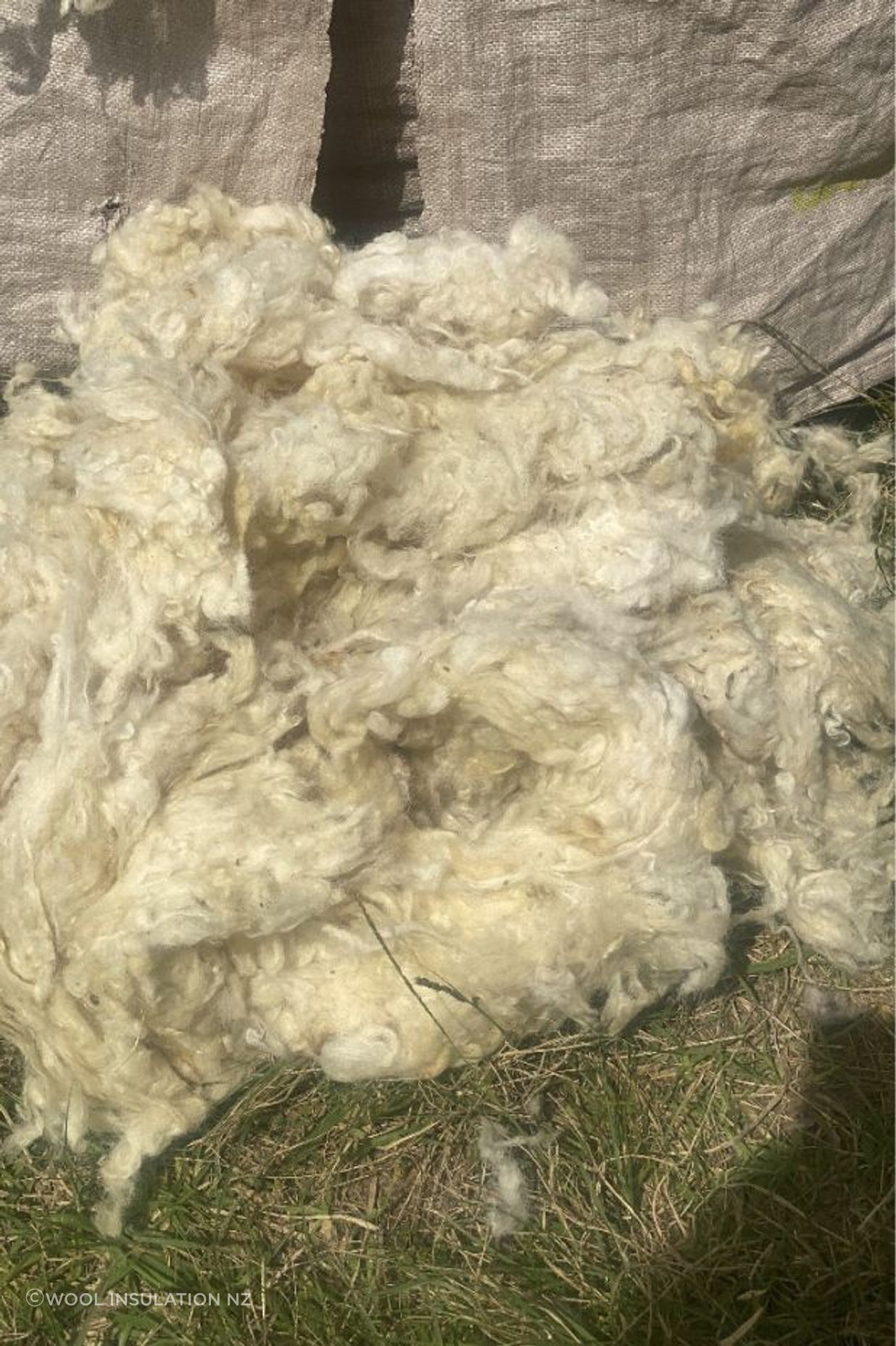 Loose wool from Wool Insulation
