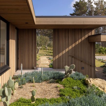 Why Western Red Cedar cladding is having a huge resurgence