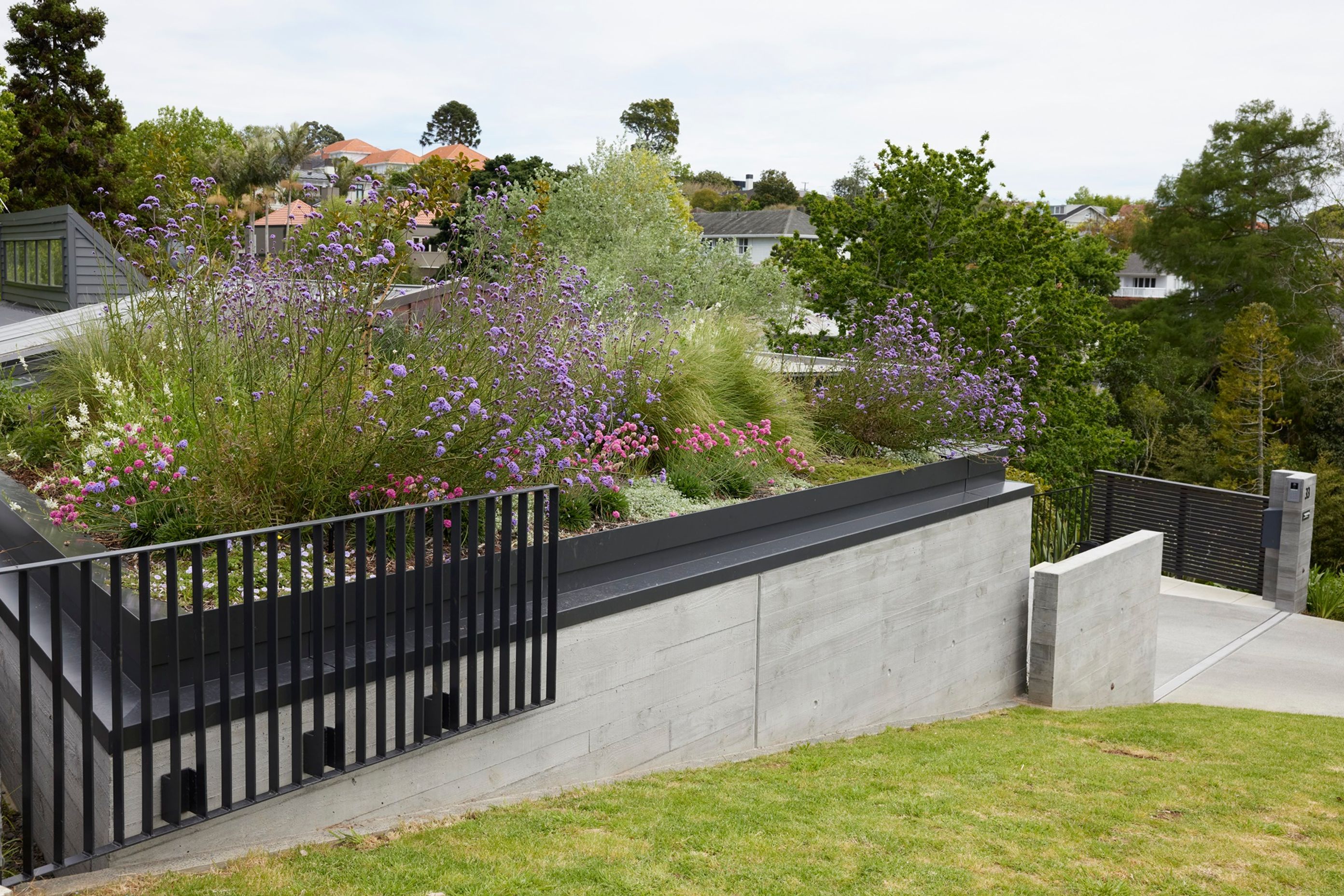 On approach to this Remuera residence, the green roof blends in with the surrounding landscaping.