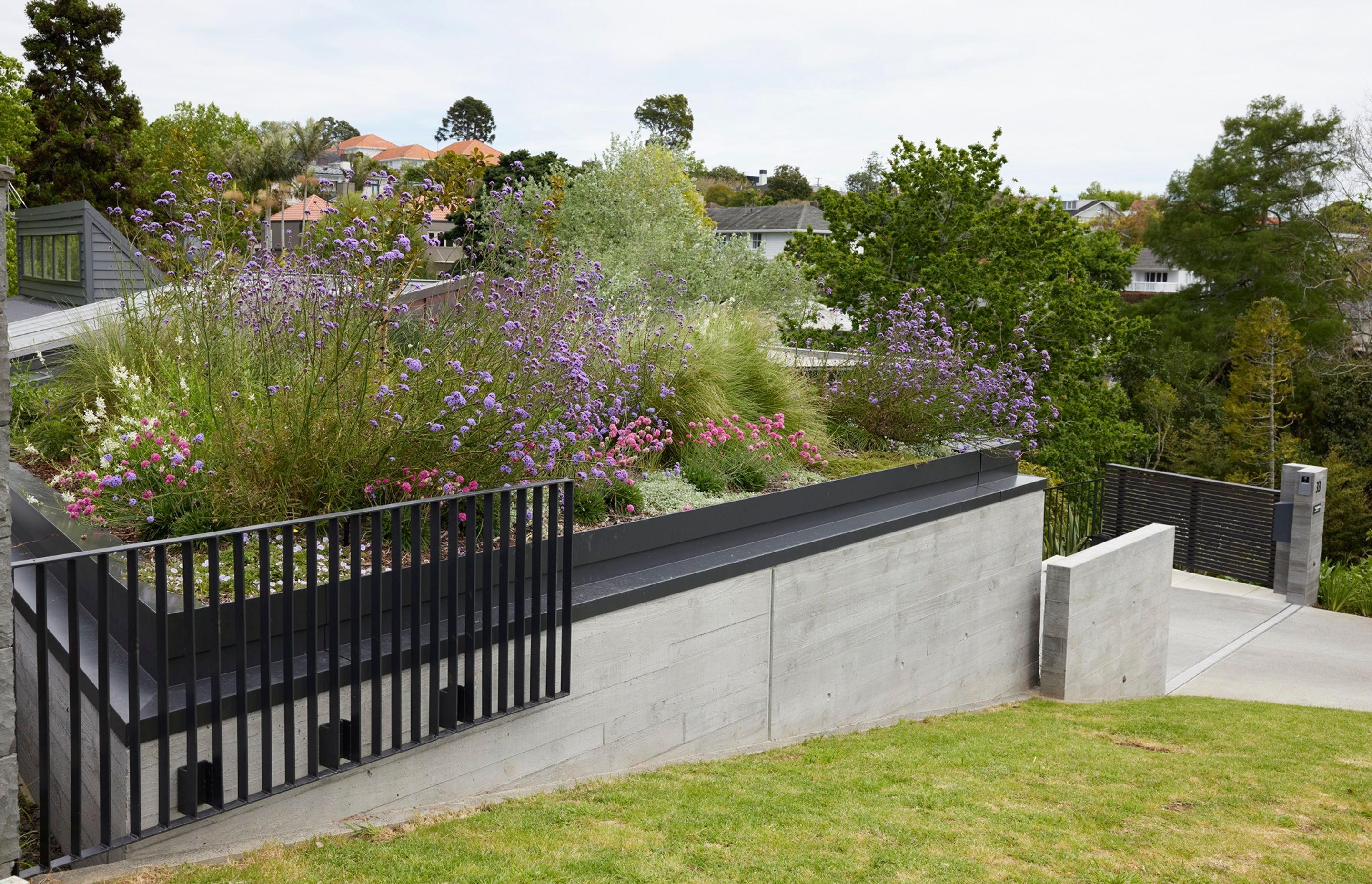 On approach to this Remuera residence, the green roof blends in with the surrounding landscaping.
