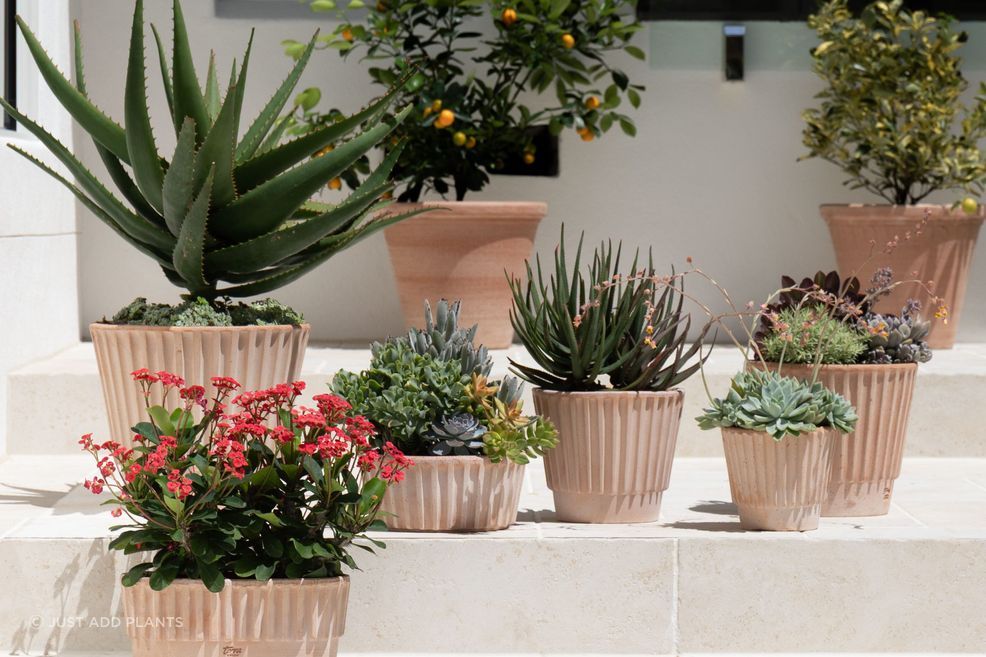 Rigato-BRON19242936-MOD26TAO33-Terracotta-Galestro-pots-scaled.jpg