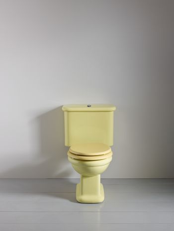 Close-coupled toilets are a popular choice in contemporary bathroom design. Featured product: Rockwell Toilet With Close Coupled Cistern Pan