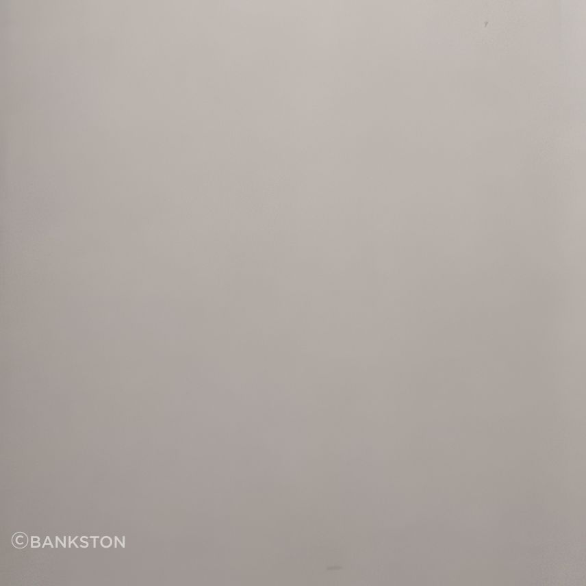 Smooth Nickel