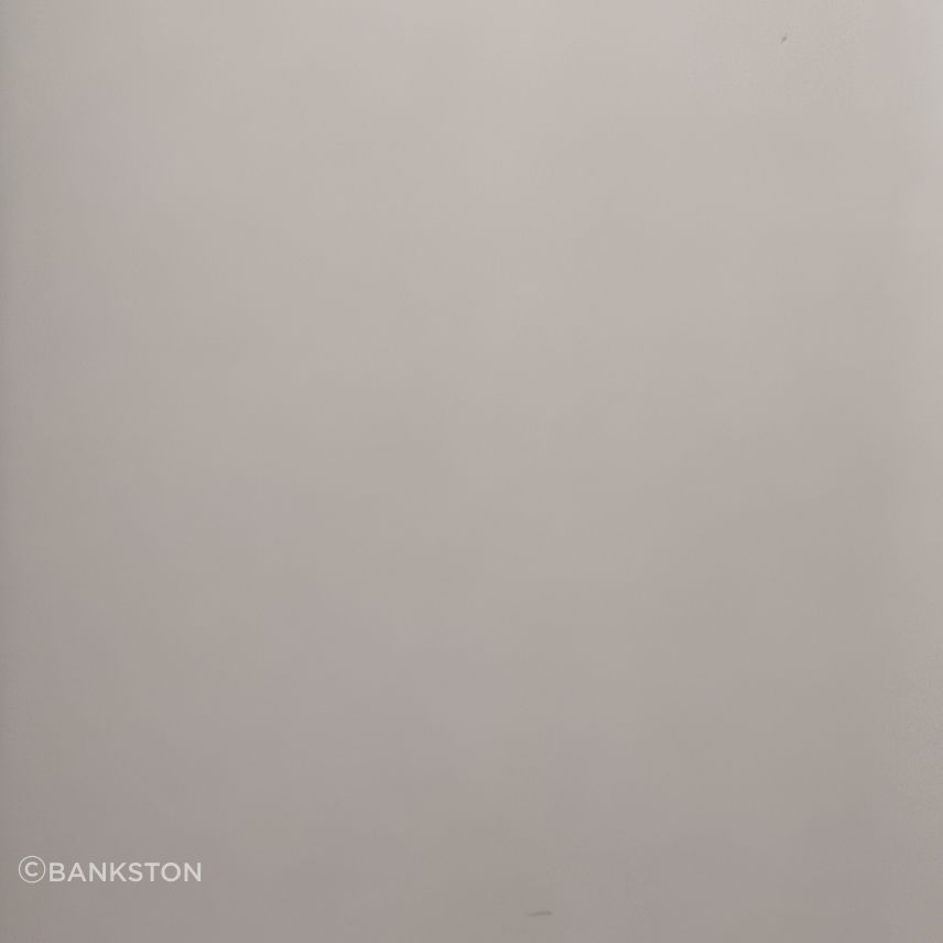 Smooth Nickel