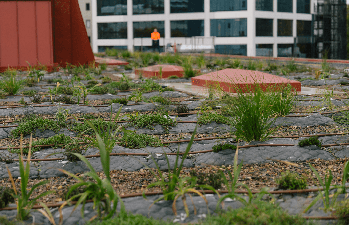 A total of 560 ‘Eco Pillows’ were installed on the roof of Auckland City Library.