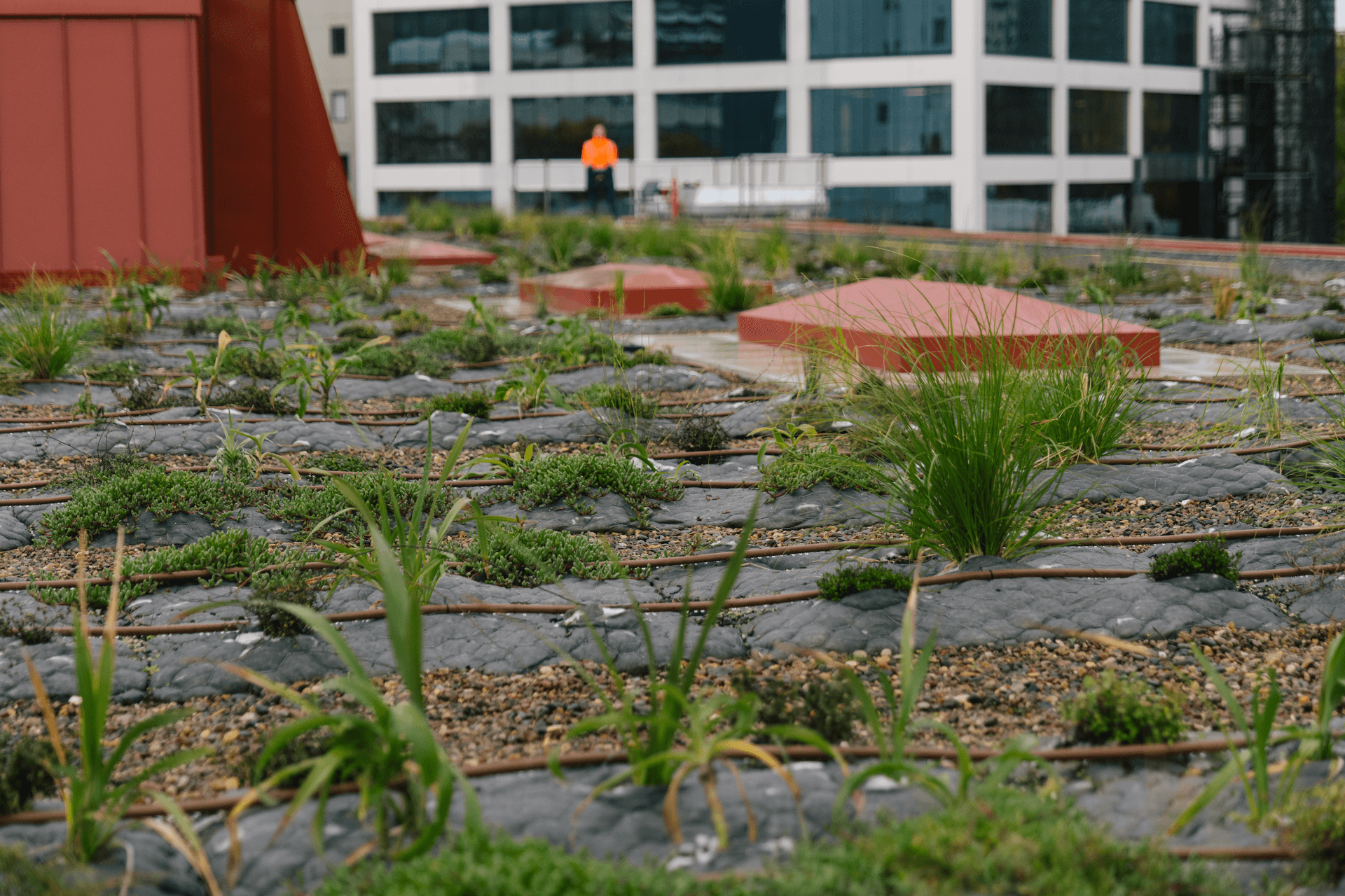 A total of 560 ‘Eco Pillows’ were installed on the roof of Auckland City Library.