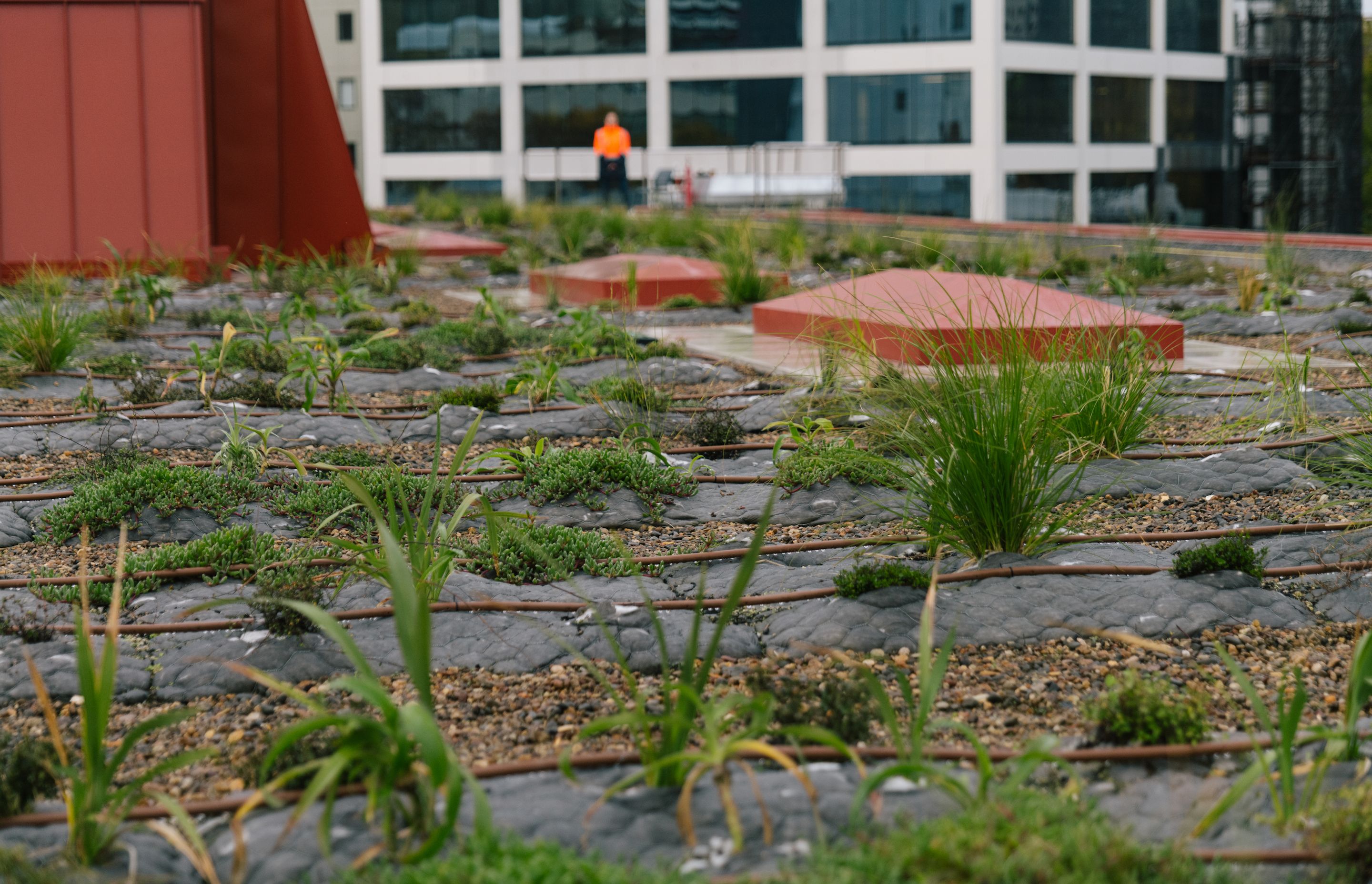 A total of 560 ‘Eco Pillows’ were installed on the roof of Auckland City Library.