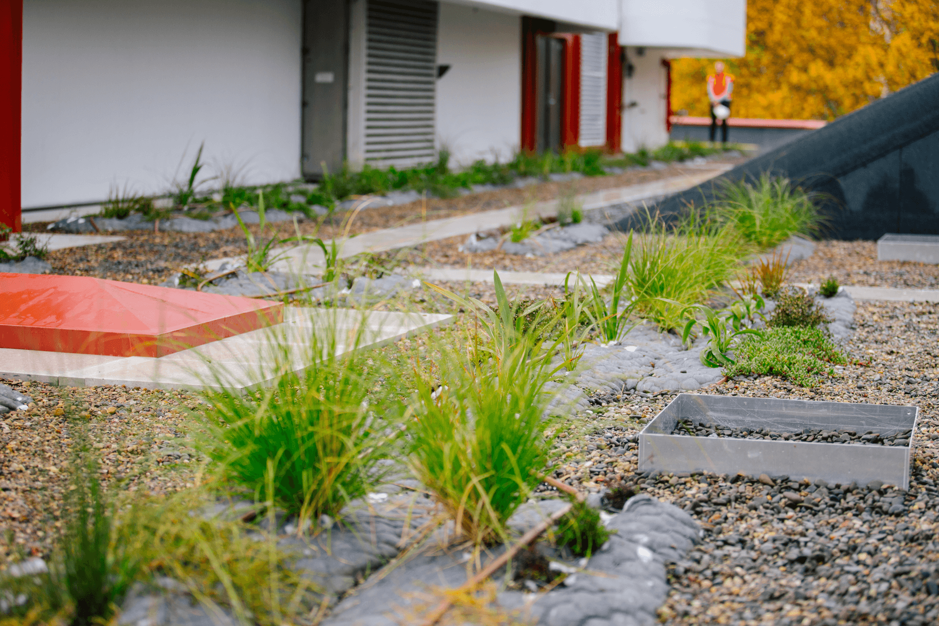 The green roof provides many benefits to the surrounding ecosystem.
