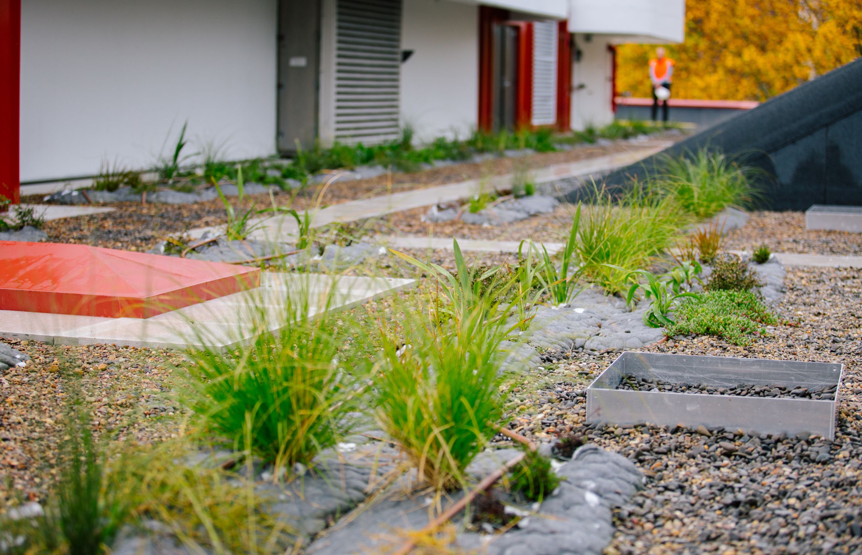 The green roof provides many benefits to the surrounding ecosystem.