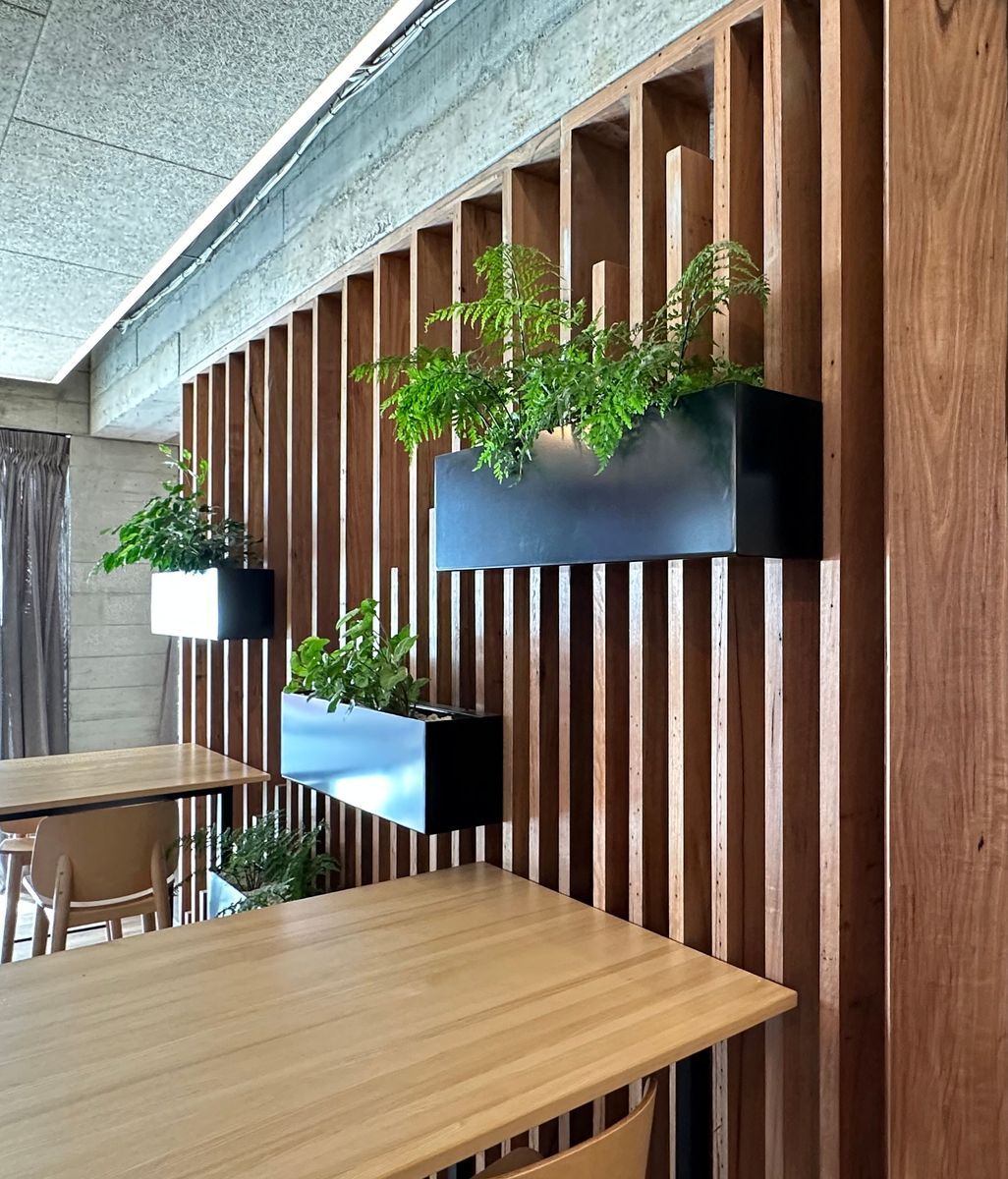 Why New Zealanders are choosing Australian hardwood