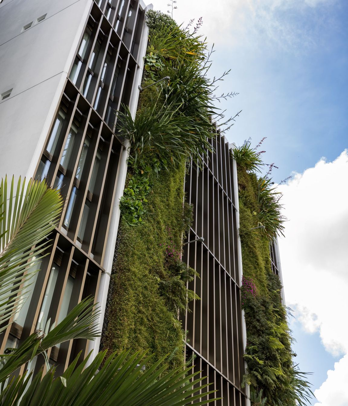 Three green walls each reach five levels high on the St Marks Apartments in Auckland. Combined, the green walls feature over 5,000 plants.
