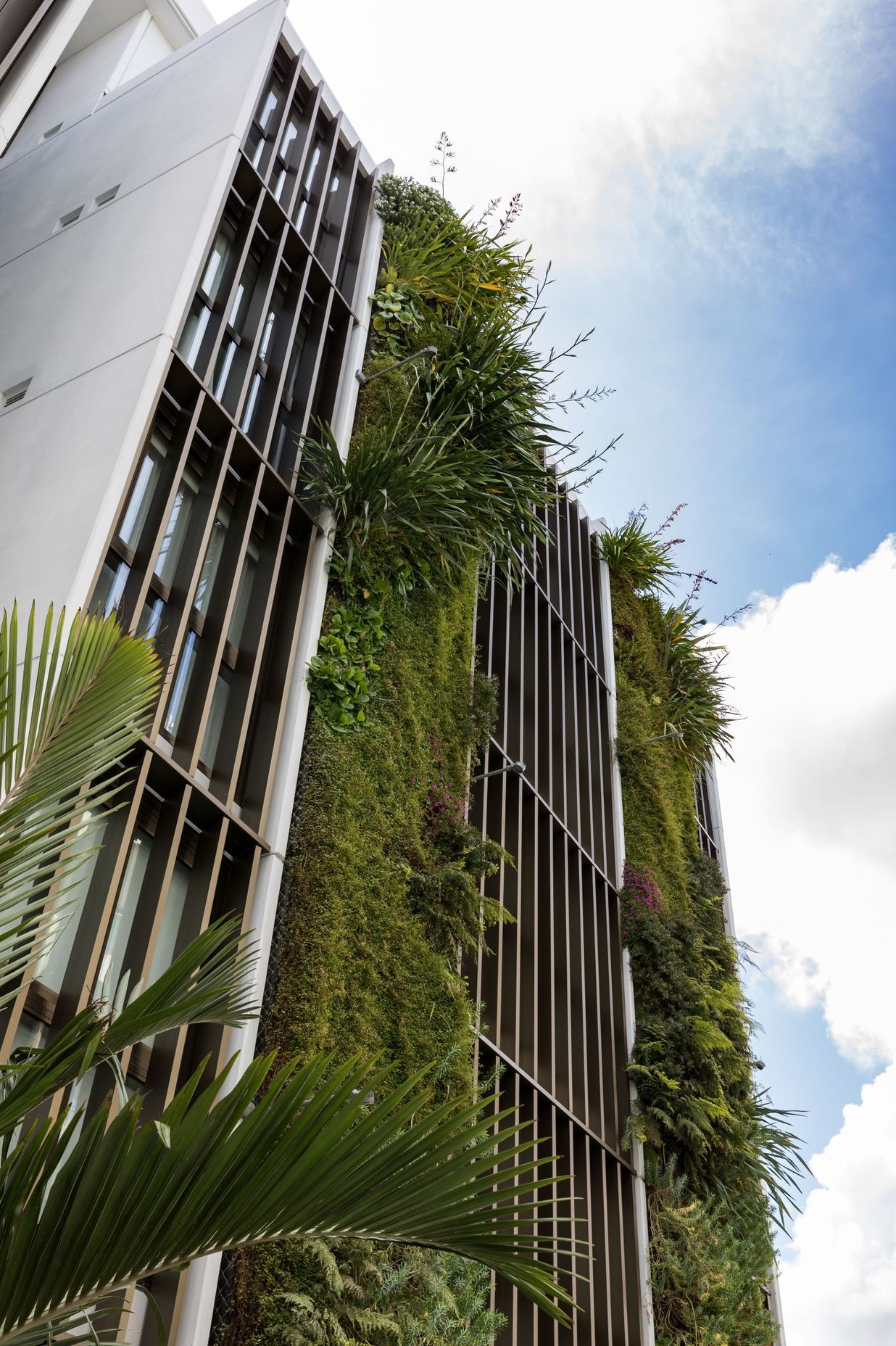 Three green walls each reach five levels high on the St Marks Apartments in Auckland. Combined, the green walls feature over 5,000 plants.