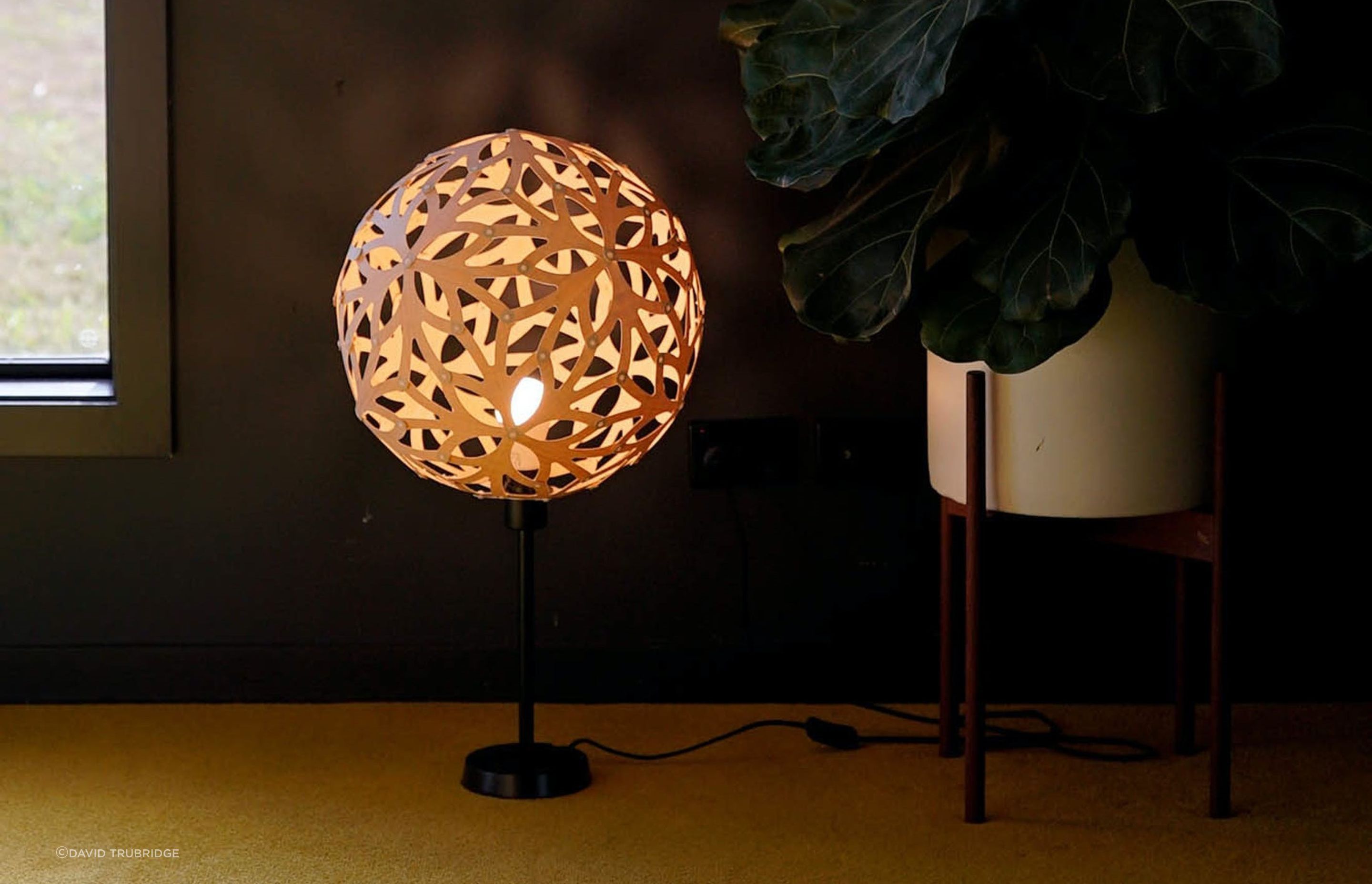 The David Trubridge Table Lamp is a great example of a versatile and unique lighting fixture