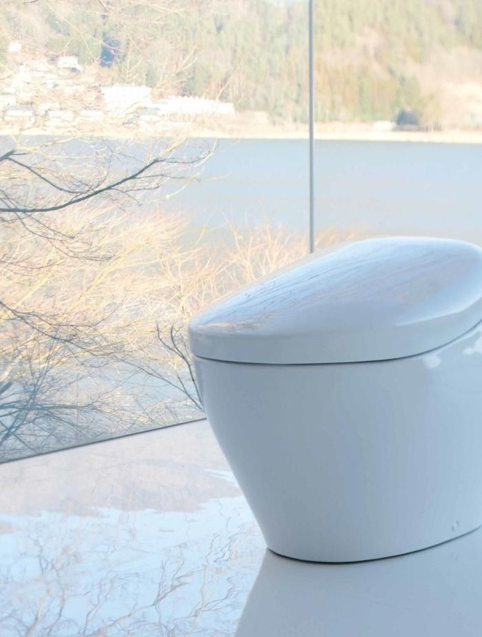 Toto-Neorest-Nx-Smart-Toilet-Remote-Control.jpg