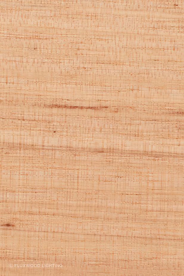 Victorian Ash (Eucalyptus Regnans)