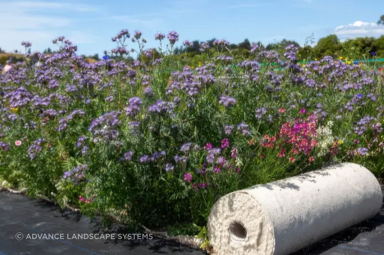 download-5-gigapixel-standard-v2-650w.png