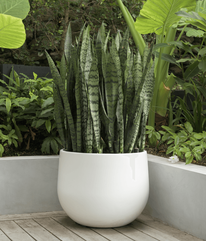 Product Features