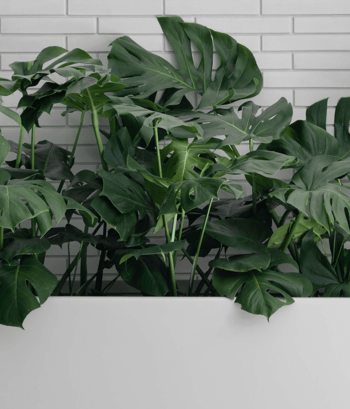 Product Features