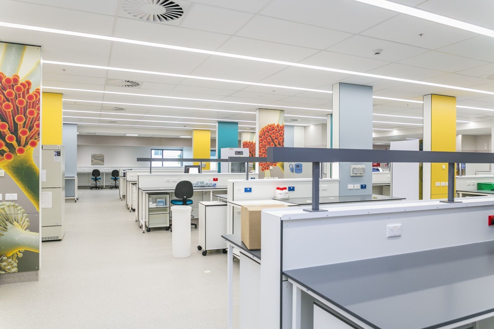 The Silk Design & Build team are experts at creating spaces for medical facilities.