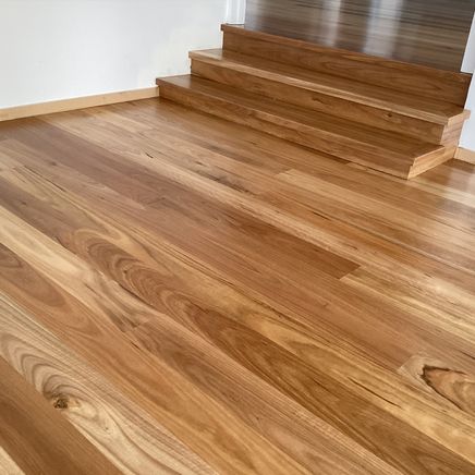 The advantages of timber flooring and the best option for your next home