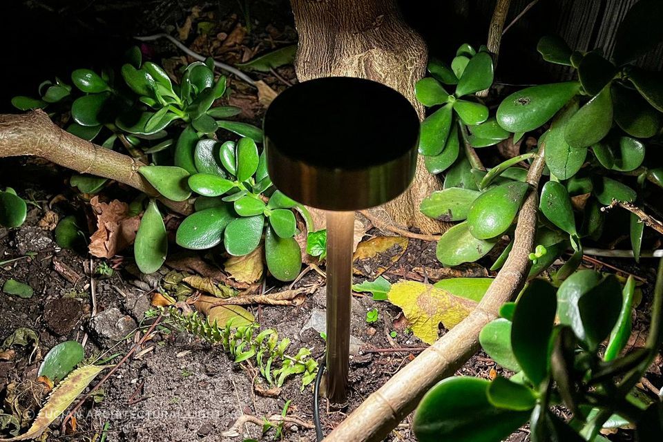 Nocturnal Beetle Garden Light
By Lucian Architectural Lighting