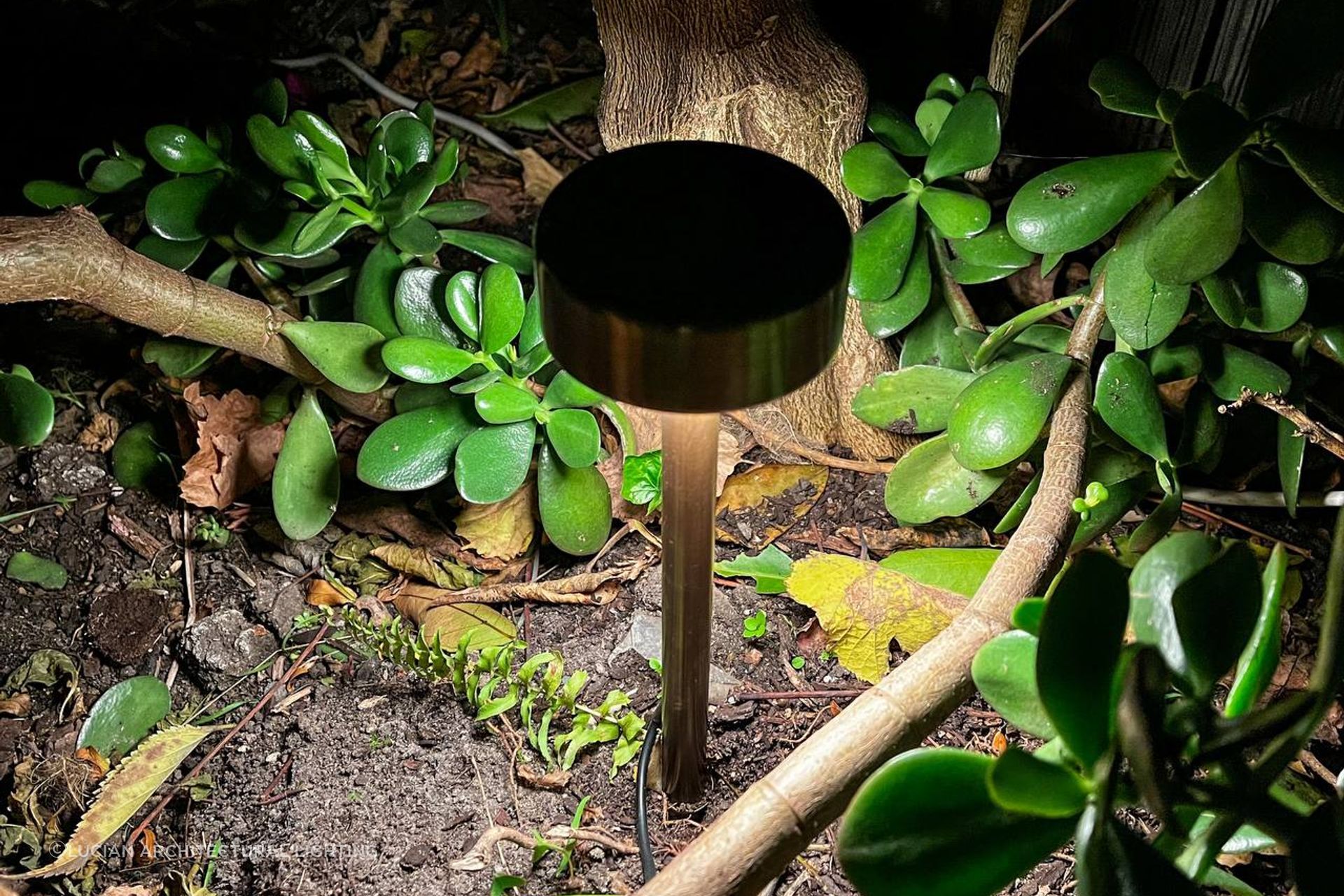 Nocturnal Beetle Garden Light
By Lucian Architectural Lighting