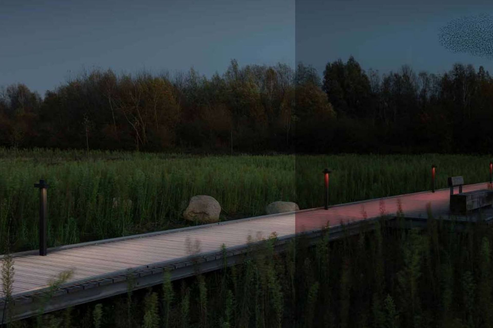 Delta Light’s Polesano Bollard Lights can be fitted with special spectrum LED lights that eliminate blue light.