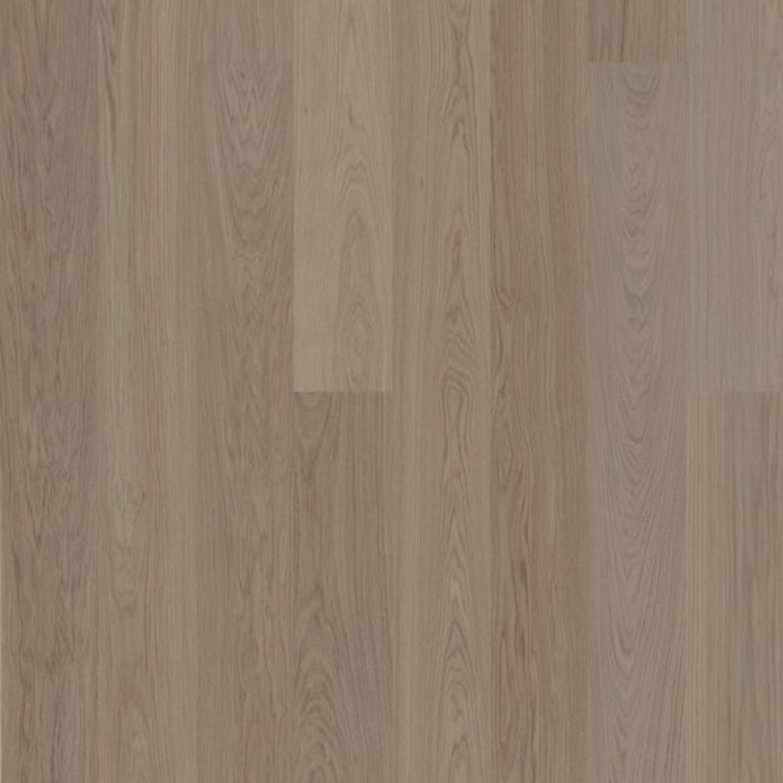 productimage-v0d3388e5fc.jpg