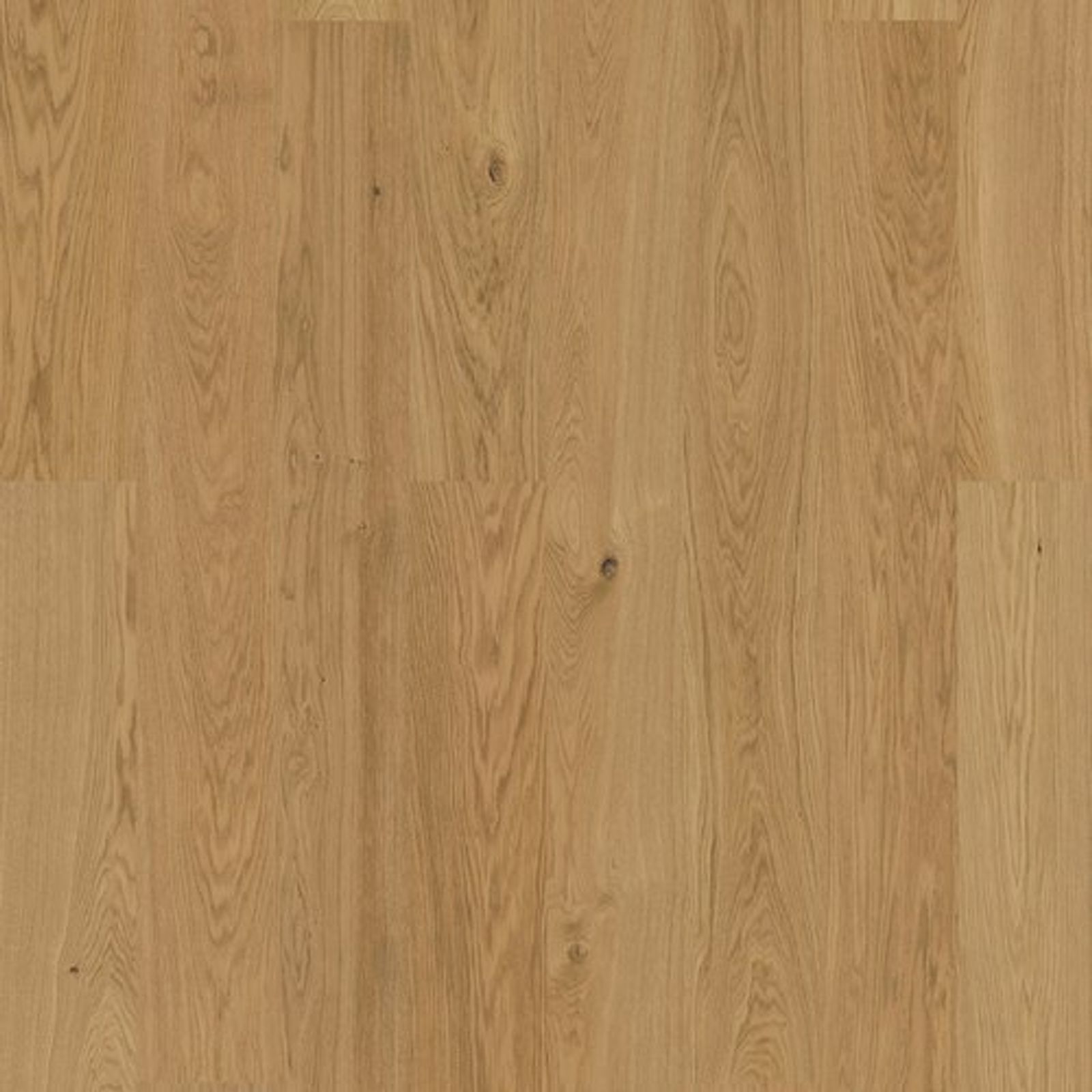 productimage-v16bb52a52f.jpg
