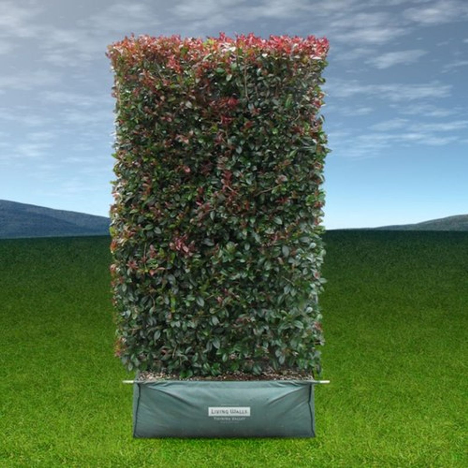 productimage-v3516015993.jpg