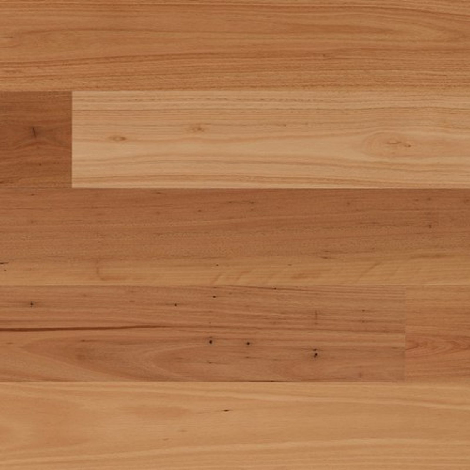 productimage-v481858b741.jpg