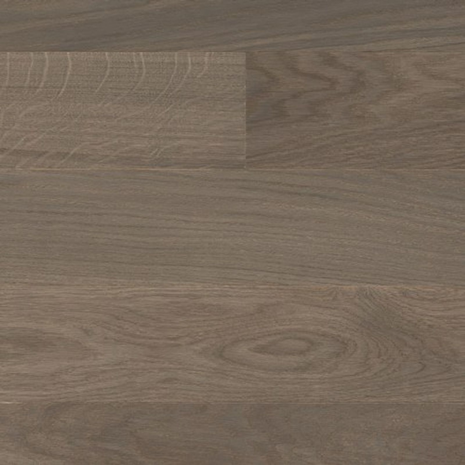 productimage-v86c0a87657.jpg