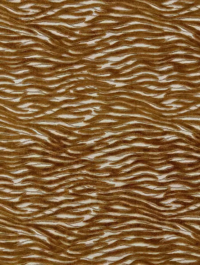 wildstripe.jpeg