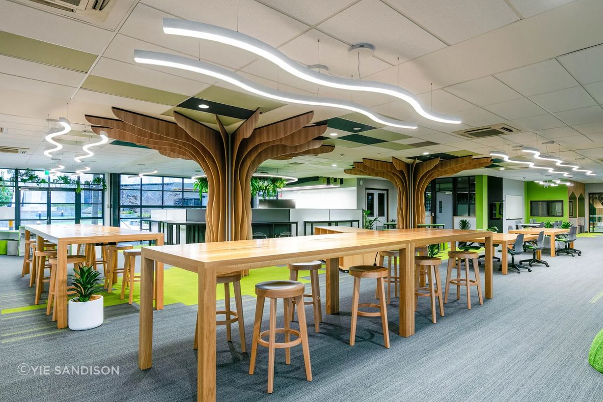 CoLab designed and fabricated cloud-like mono LED lighting for a school library.