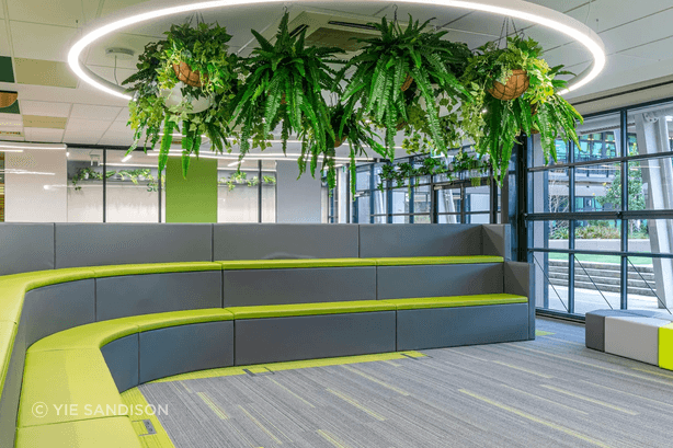 Custom arching extrusion profile powder coated in silky white.