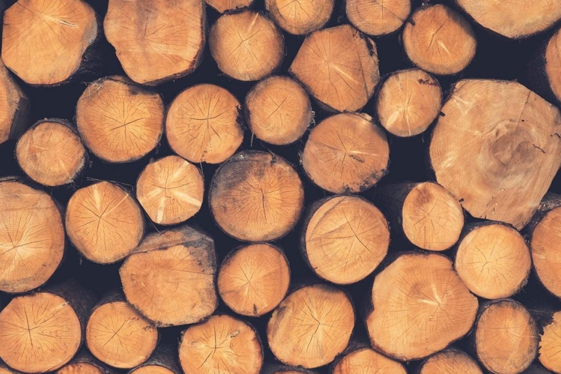 What is the difference between American Oak or European Oak Flooring?