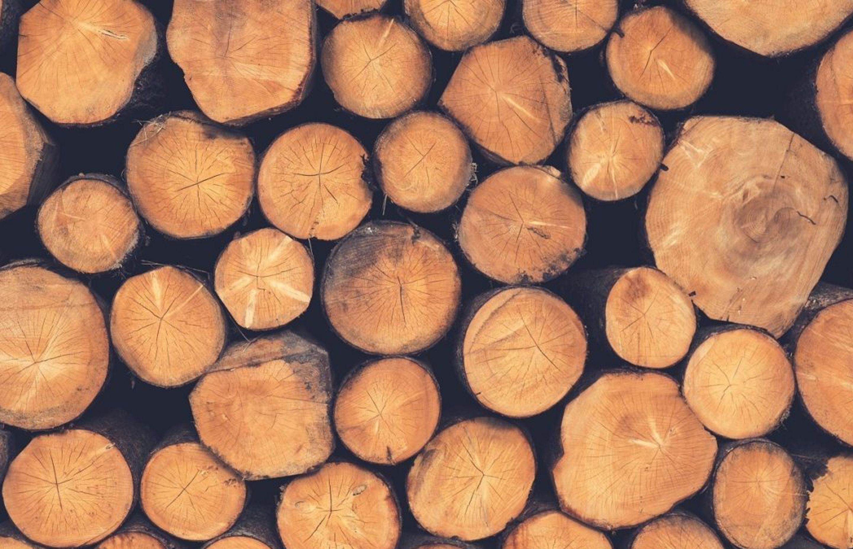 What is the difference between American Oak or European Oak Flooring?
