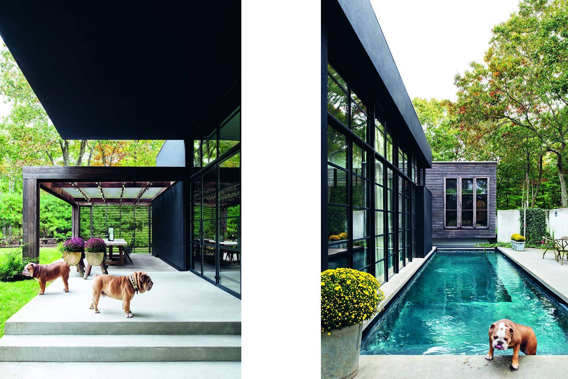 Double duty: architecture and design coffee table books that combine style with substance