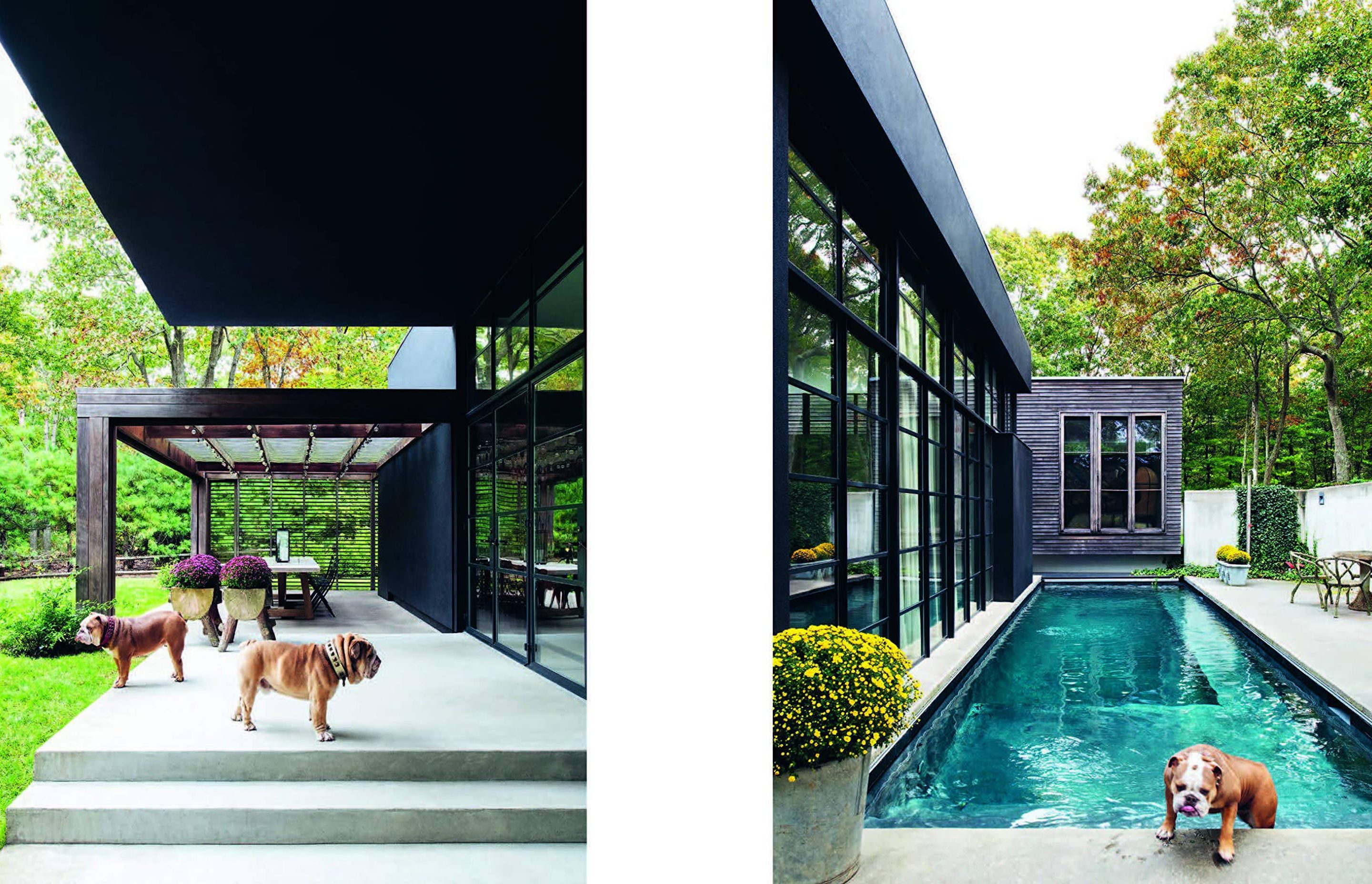 Double duty: architecture and design coffee table books that combine style with substance
